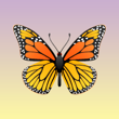 Rila