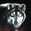 Nightwolf
