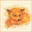 AndyFox