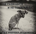 Маринчик